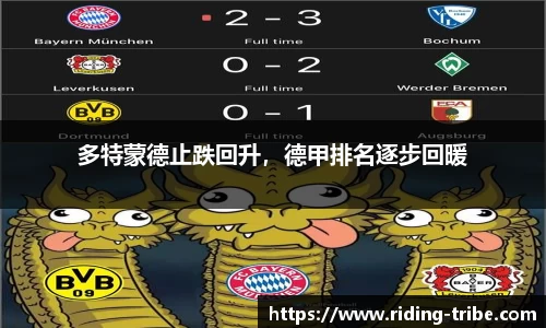 九游体育官网入口